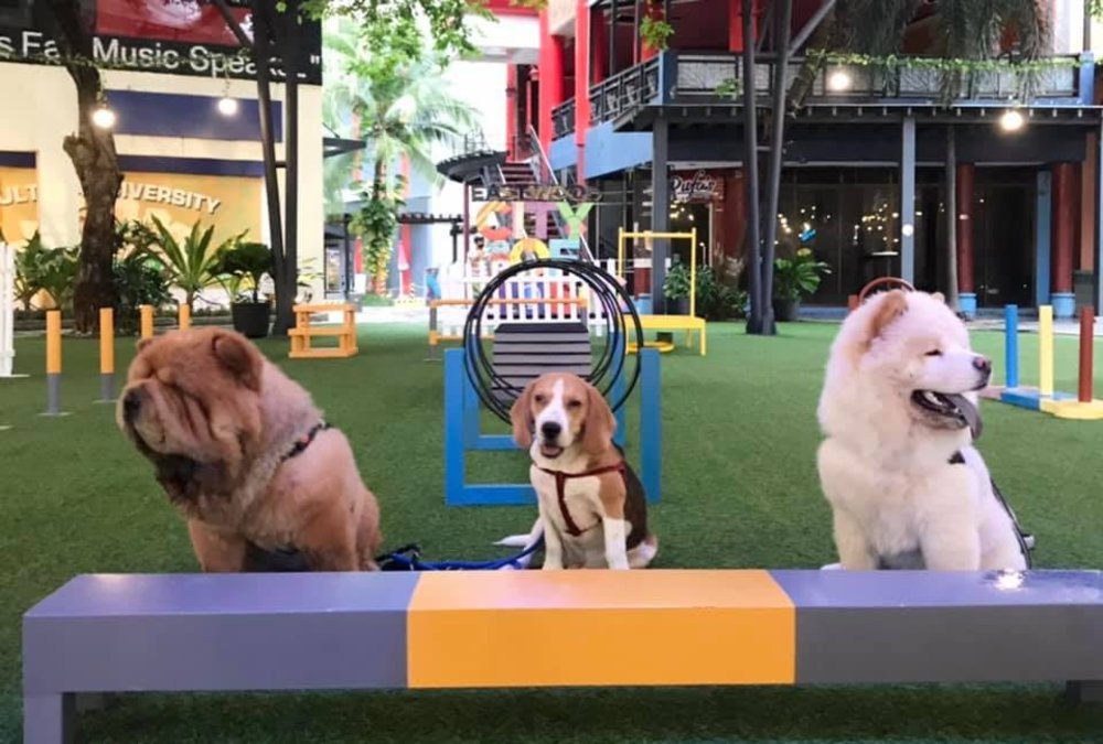 (Source: Eastwood City/Facebook)