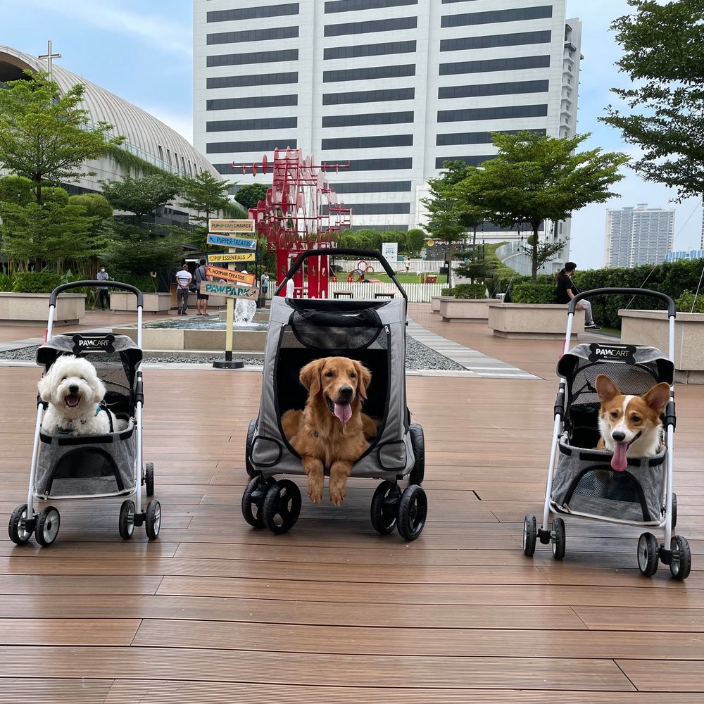 (Source: SM Aura/Facebook)