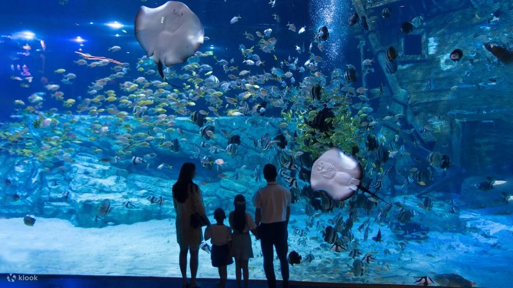 Thuỷ Cung Lotte World Hà Nội