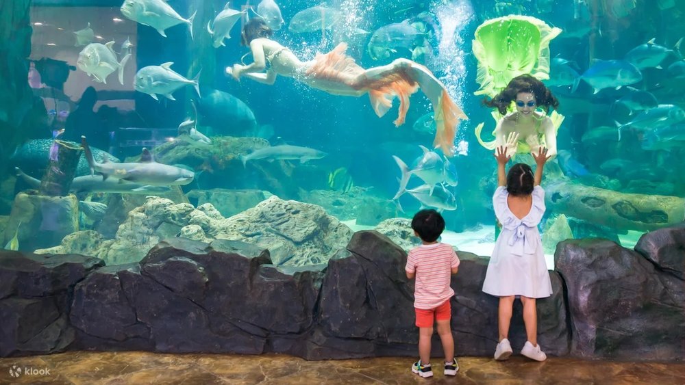  Khu Vui Chơi VinKE Và Thuỷ Cung Times City Ở Hà Nội