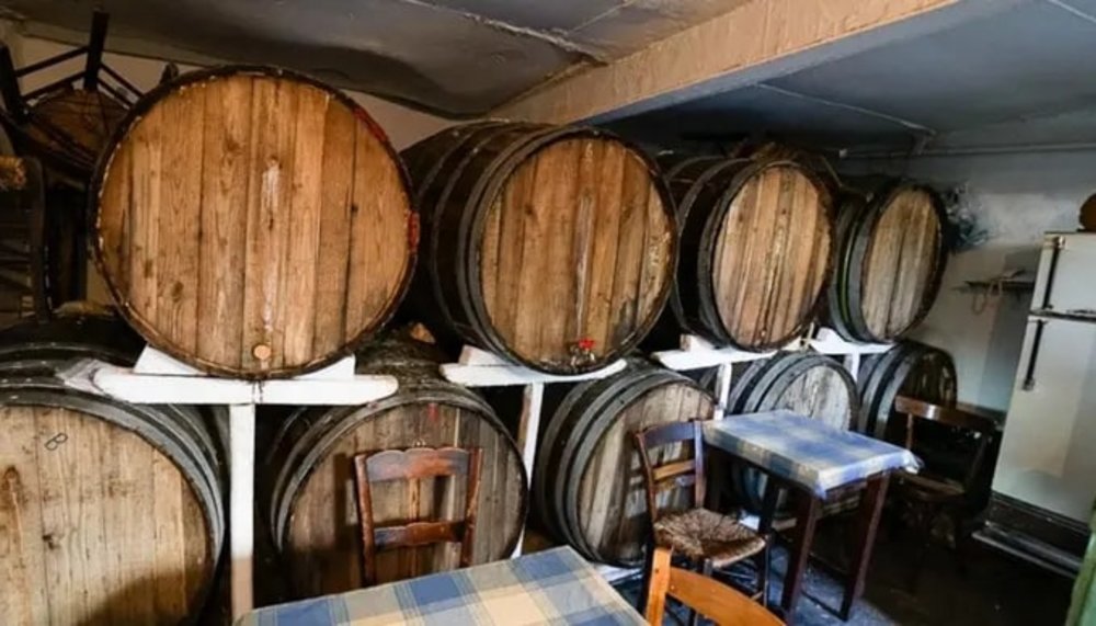 Thưởng Thức Rượu Vang Trực Tiếp Từ Thùng Gỗ