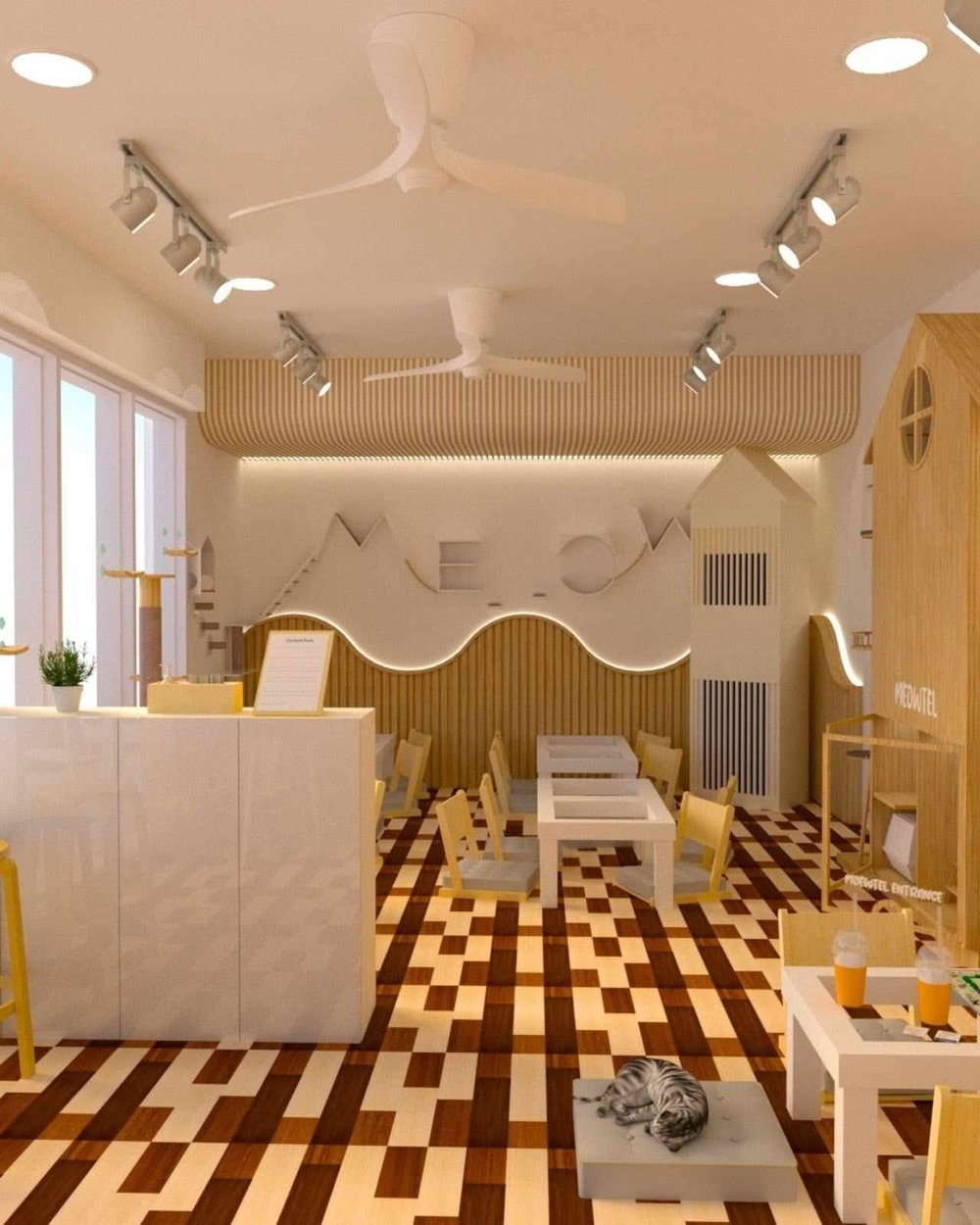 (Source: Snow the Cat Cafe/Facebook)