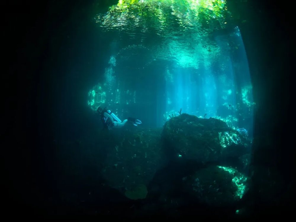 Photo@www.papuaexplorers.com