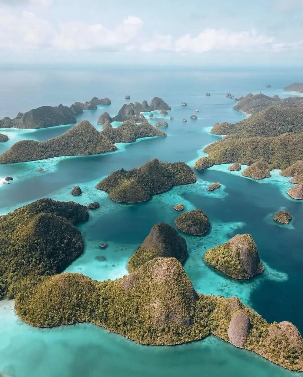 Ins@giovanni_mansilla