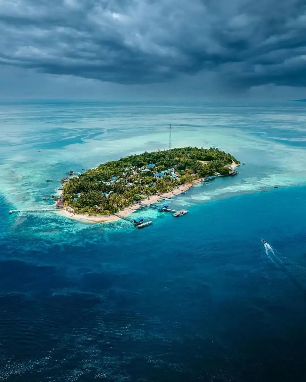 Ins@backpackertampan