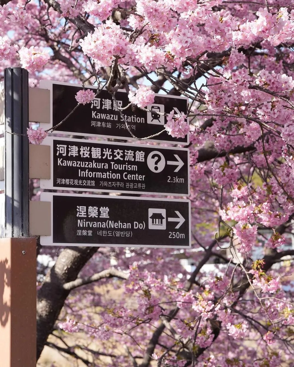 instagram@gothrutravel