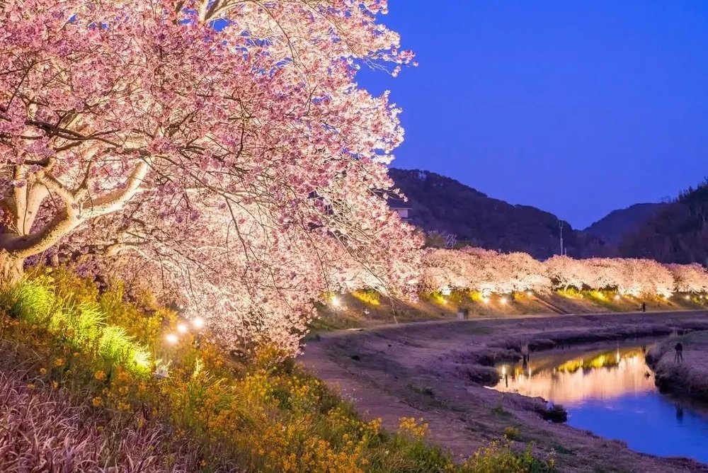 instagram@nationalpark_japan