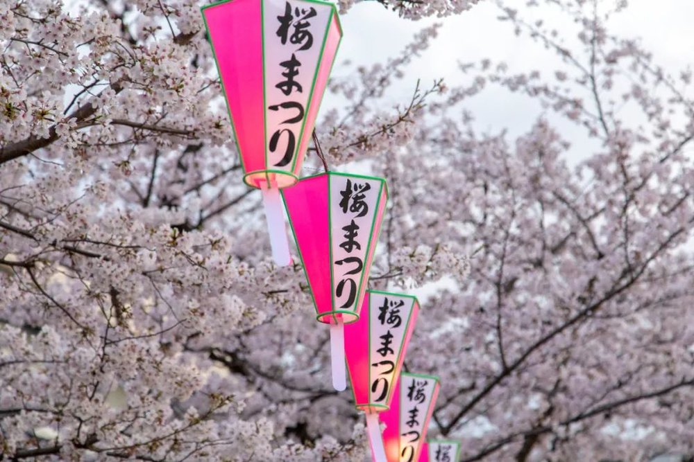 unsplash@Alan Godfrey