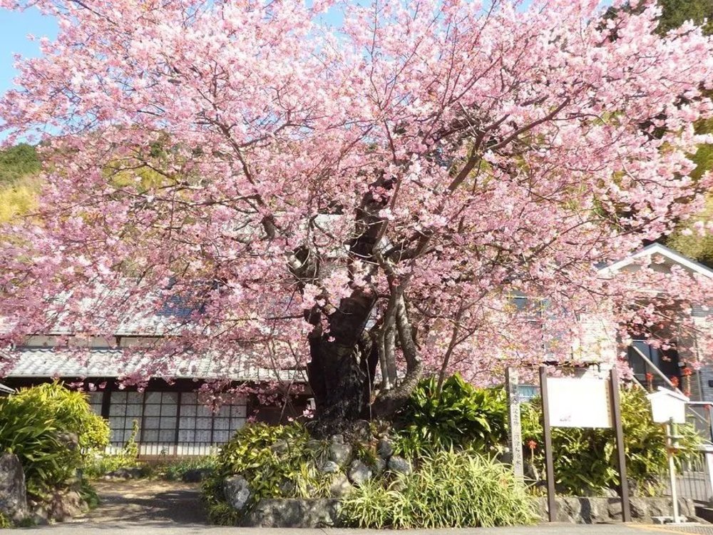 instagram@izu_photo_diary