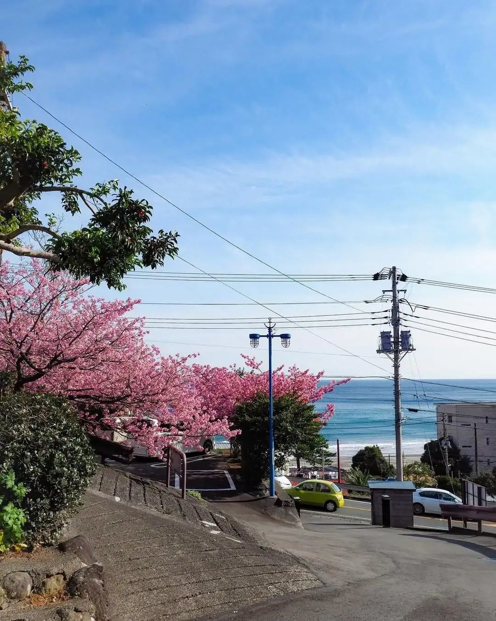 instagram@kokohana76