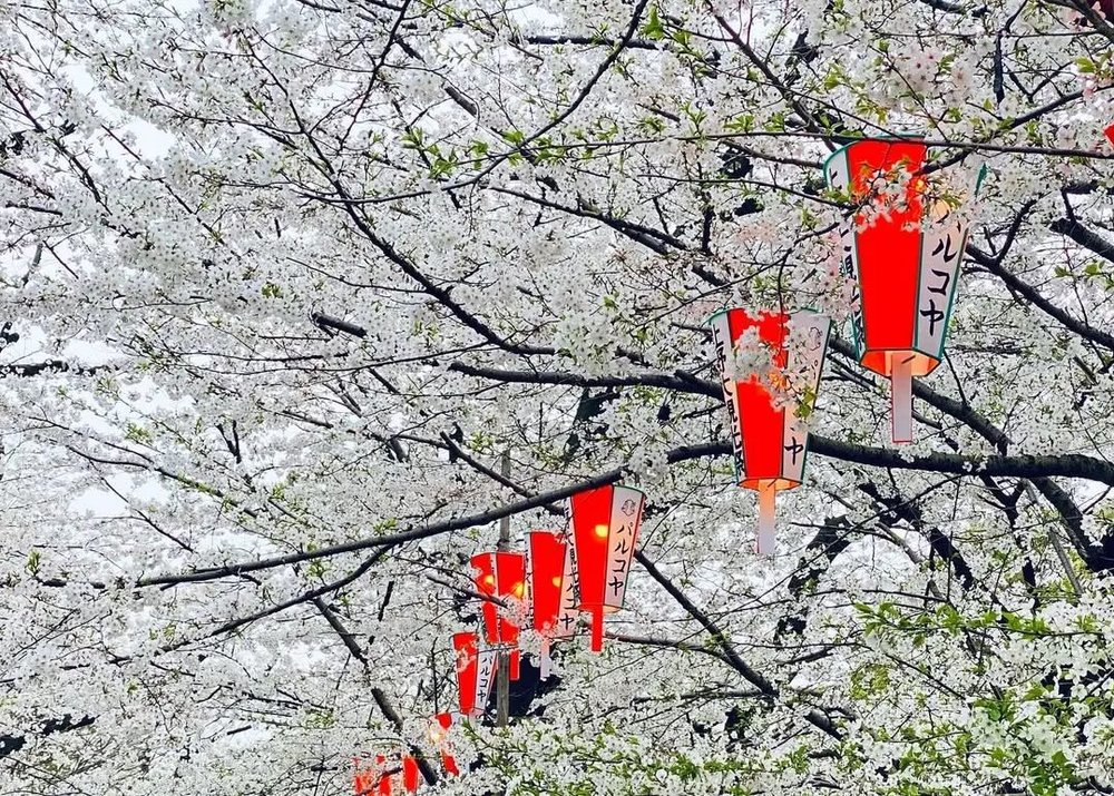 instagram@hiro_outmt