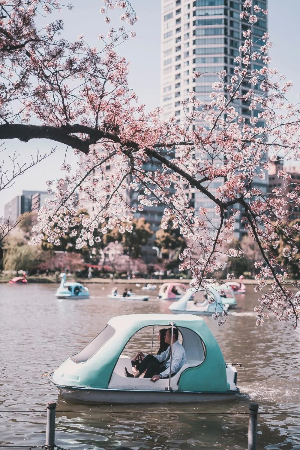 unsplash@Redd Francisco