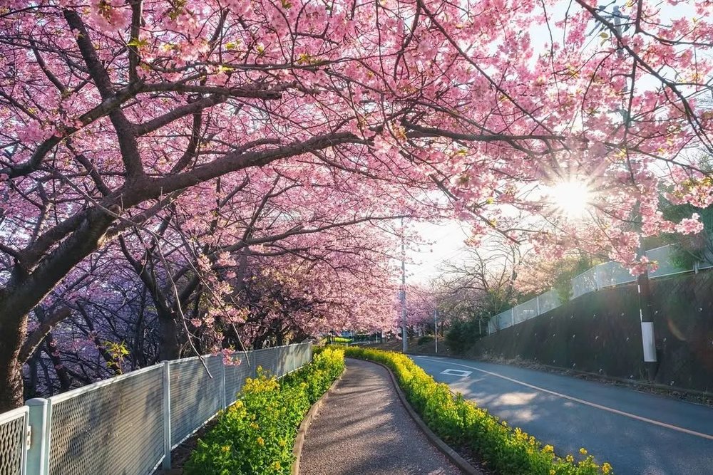 instagram@daichi_xa1