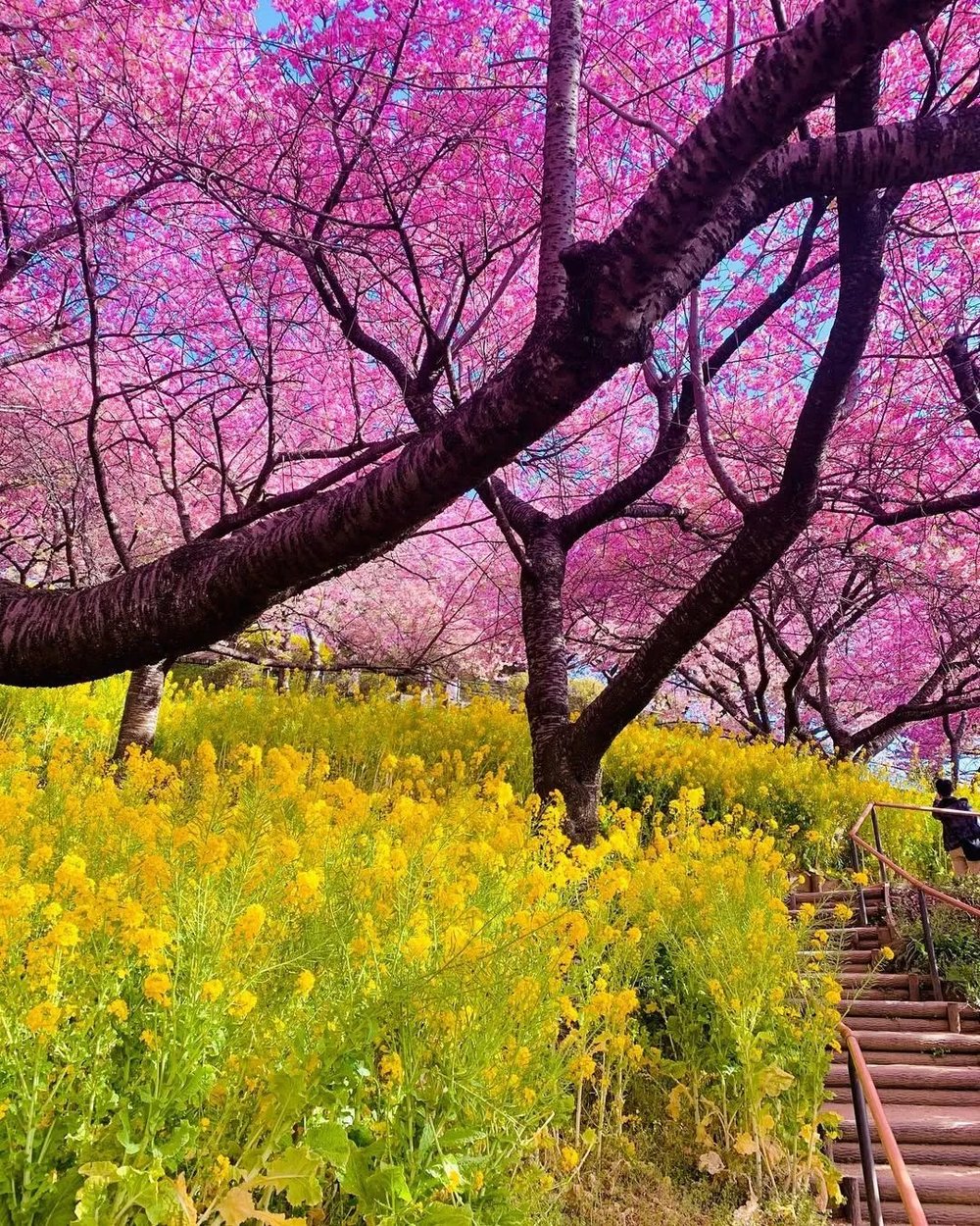 instagram@tenkoinsta