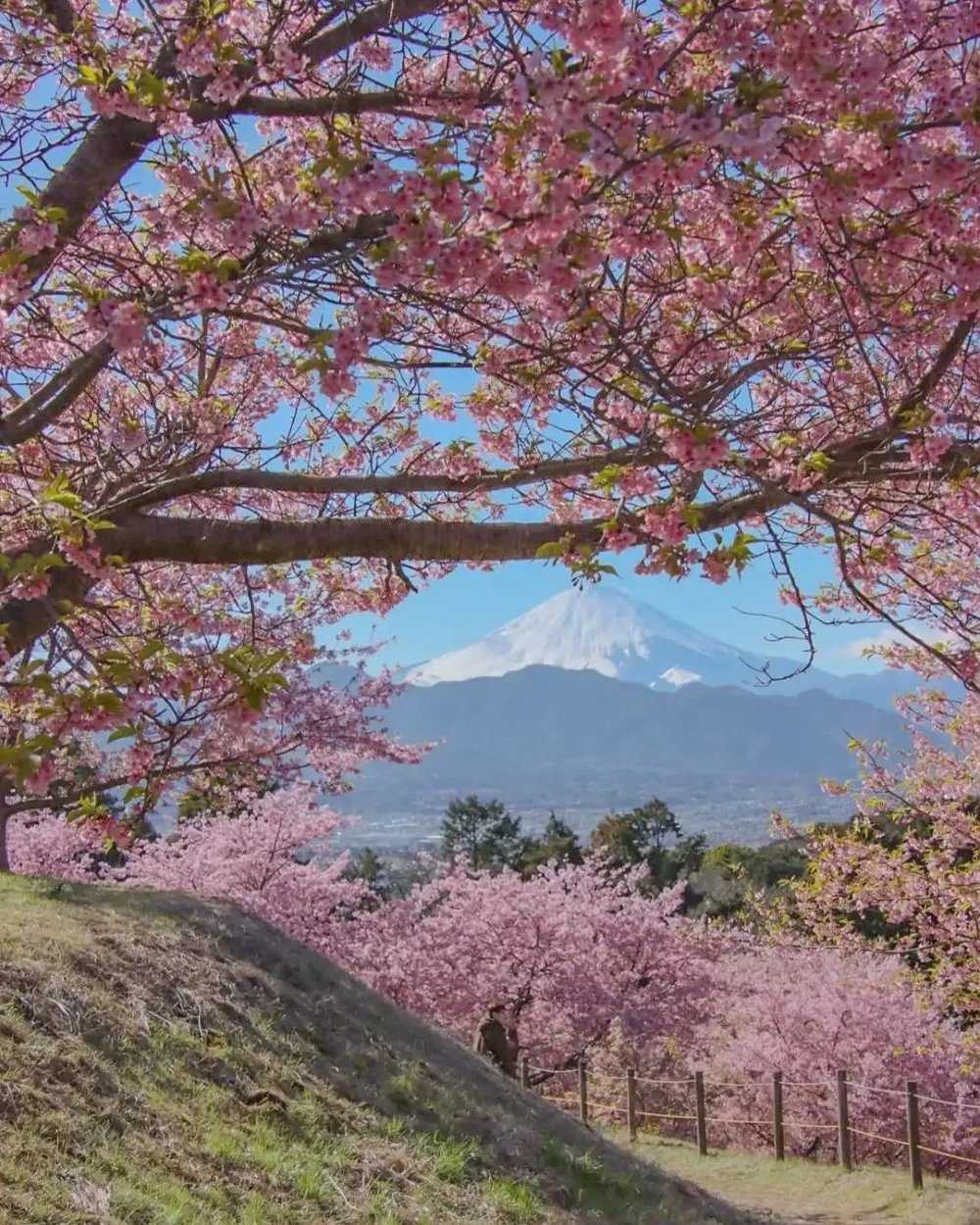 instagram@minokmiyuu