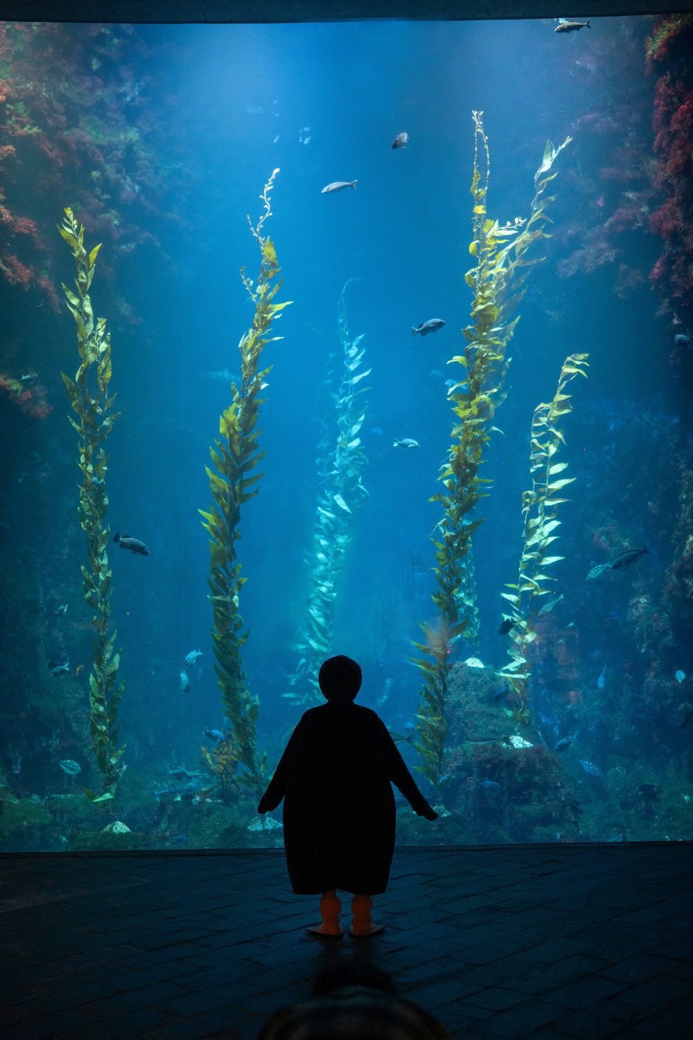 國立海洋生物博物館
