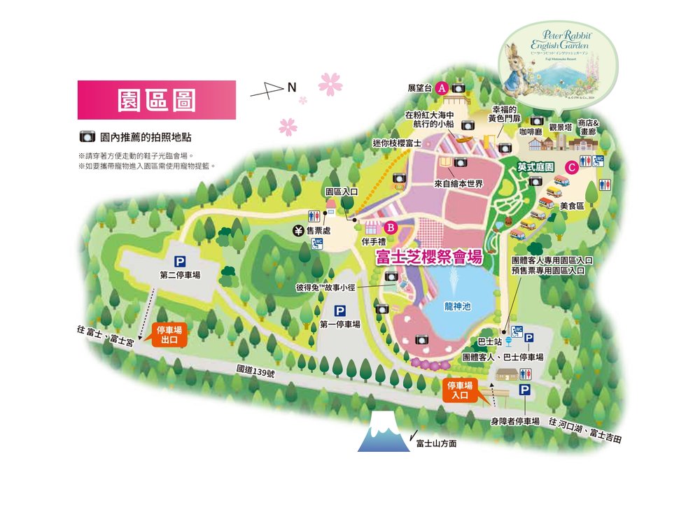 富士芝櫻 河口湖 富士芝櫻祭 河口湖櫻花 富士芝櫻祭2025 河口湖2025