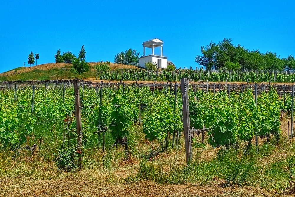 Vùng Tokaj - Hungary