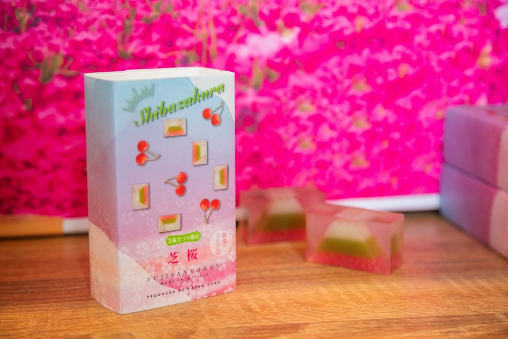 富士芝櫻 河口湖 富士芝櫻祭 河口湖櫻花 富士芝櫻祭2025 河口湖2025