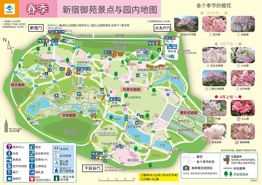 東京 新宿御苑 東京新宿御苑 東京櫻花 新宿御苑櫻花 東京賞櫻 新宿御苑賞櫻 東京櫻花2025 新宿御苑櫻花2025 東京賞櫻2025 新宿御苑賞櫻2025