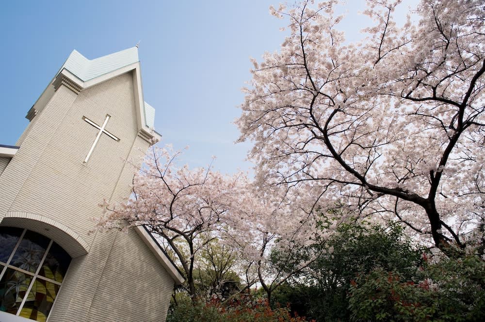 東京 新宿御苑 東京新宿御苑 東京櫻花 新宿御苑櫻花 東京賞櫻 新宿御苑賞櫻 東京櫻花2025 新宿御苑櫻花2025 東京賞櫻2025 新宿御苑賞櫻2025