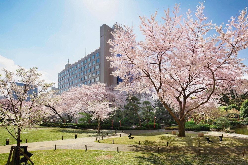 東京 新宿御苑 東京新宿御苑 東京櫻花 新宿御苑櫻花 東京賞櫻 新宿御苑賞櫻 東京櫻花2025 新宿御苑櫻花2025 東京賞櫻2025 新宿御苑賞櫻2025