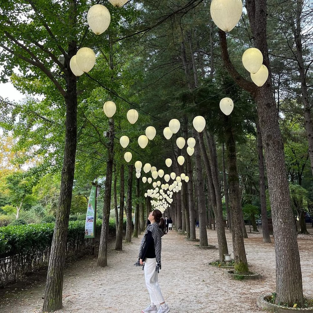 南怡島自由行, 南怡島一日遊, 南怡島銀杏, 南怡島櫻花, 南怡島景點, 南怡島紅葉