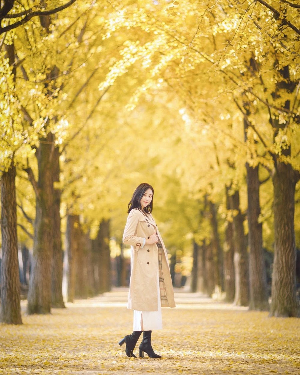 南怡島自由行, 南怡島一日遊, 南怡島銀杏, 南怡島櫻花, 南怡島景點, 南怡島紅葉