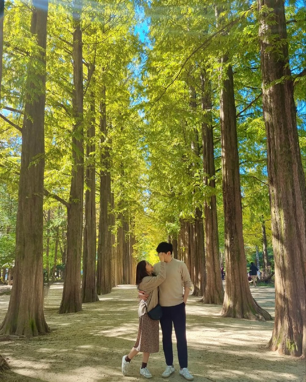 南怡島自由行, 南怡島一日遊, 南怡島銀杏, 南怡島櫻花, 南怡島景點, 南怡島紅葉