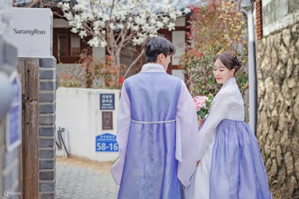 韓國櫻花, 全州櫻花, 韓國櫻花花期, 全州韓屋村