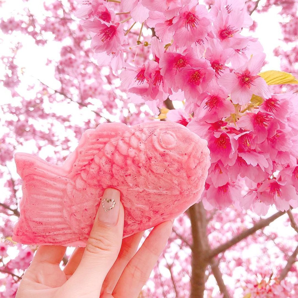 河津櫻2025, 河津櫻花祭, 河津櫻美食, 河津櫻雪糕