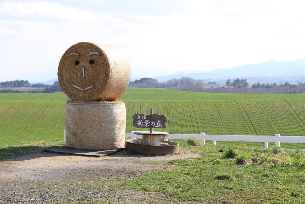 美瑛景點,新榮之丘展望公園