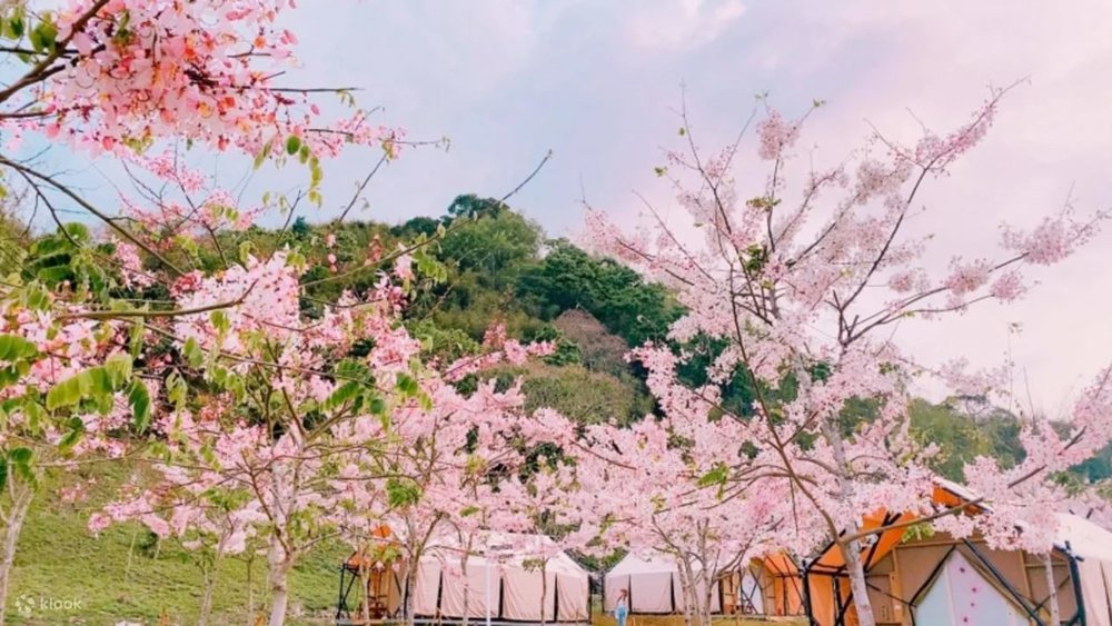 遠山望月溫泉風呂露營區