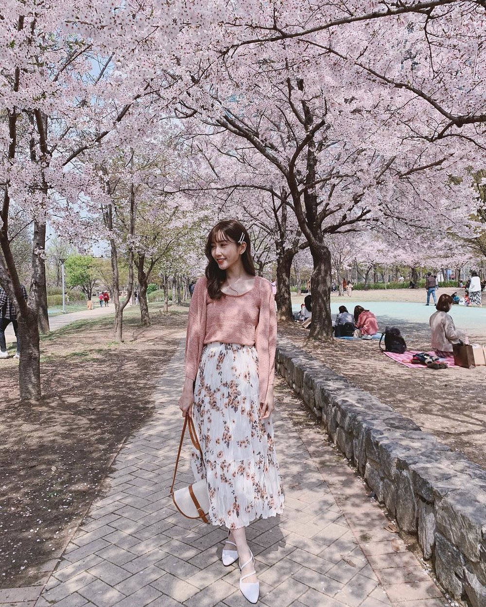 首爾林櫻花, 首爾櫻花景點, 首爾櫻花時間, 首爾櫻花景點2025, 首爾林