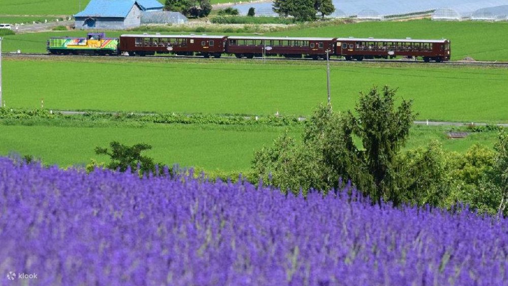 北海道 富良野 美瑛 北海道景點 富良野景點 美瑛景點 富良野酒店  富良野景點冬天 富良野景點春天 富良野景點夏天 富良野景點2025