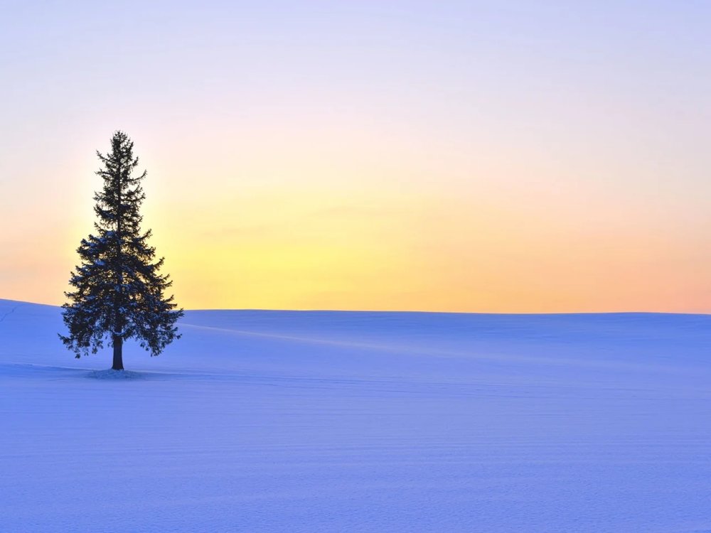 北海道 富良野 美瑛 北海道景點 富良野景點 美瑛景點 富良野酒店  富良野景點冬天 富良野景點春天 富良野景點夏天 富良野景點2025