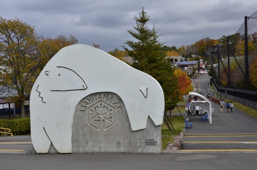 旭川 旭川景點 北海道 北海道景點 北海道親子遊 北海道自由行 北海道景點2025 旭山動物園 旭山動物園企鵝 旭山動物園企鵝散步 旭山動物園冬天 旭山動物園冬季 旭山動物園北極熊