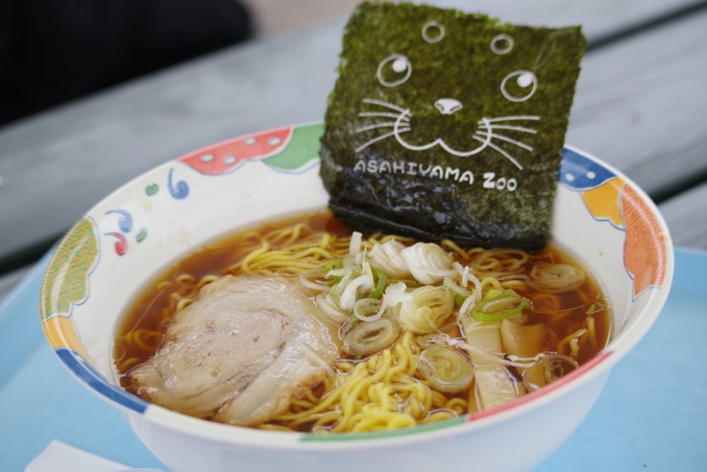 旭川 旭川景點 北海道 北海道景點 北海道親子遊 北海道自由行 北海道景點2025 旭山動物園 旭山動物園企鵝 旭山動物園企鵝散步 旭山動物園冬天 旭山動物園冬季 旭山動物園北極熊