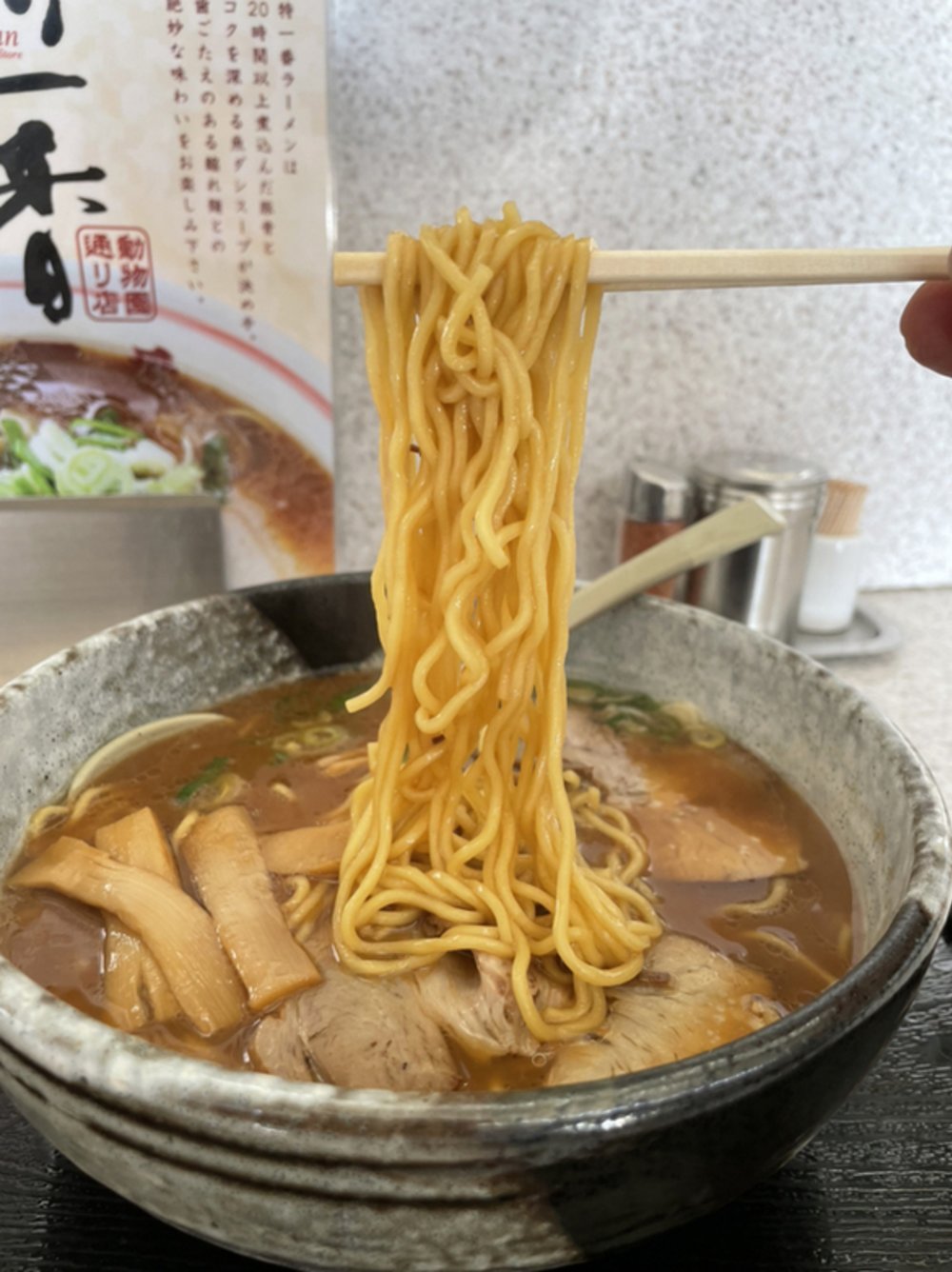 旭川 旭川景點 北海道 北海道景點 北海道親子遊 北海道自由行 北海道景點2025 旭山動物園 旭山動物園企鵝 旭山動物園企鵝散步 旭山動物園冬天 旭山動物園冬季 旭山動物園北極熊