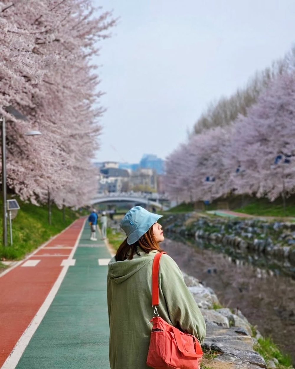 良才川櫻花, 首爾 櫻花 時間, 首爾4月櫻花, 韓國櫻花, 首爾櫻花