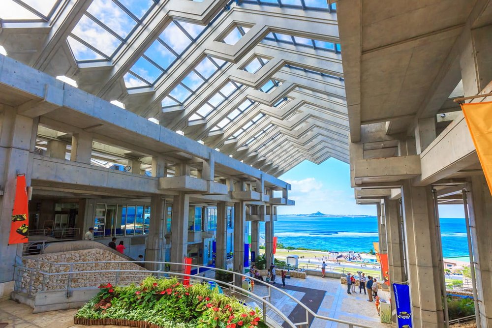 沖繩美麗海水族館,沖繩景點,沖繩水族館