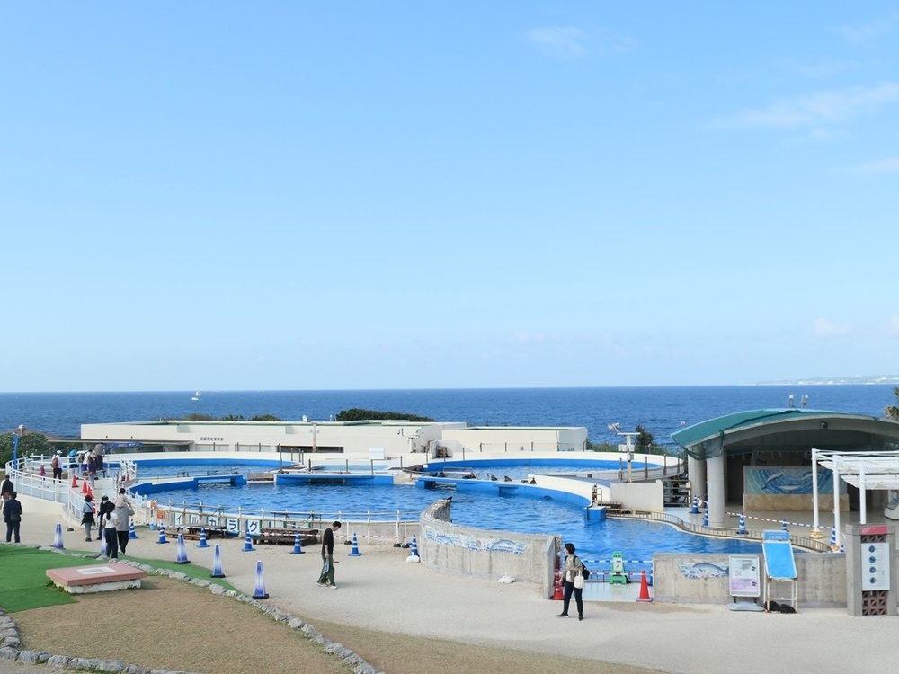 沖繩美麗海水族館,沖繩景點,沖繩水族館