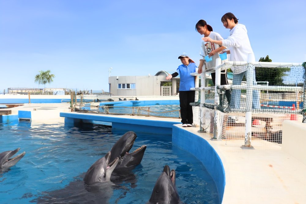 沖繩美麗海水族館,沖繩景點,沖繩水族館
