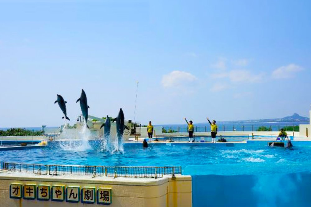 沖繩美麗海水族館,沖繩景點,沖繩水族館