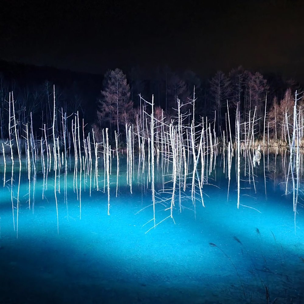 北海道白金青池