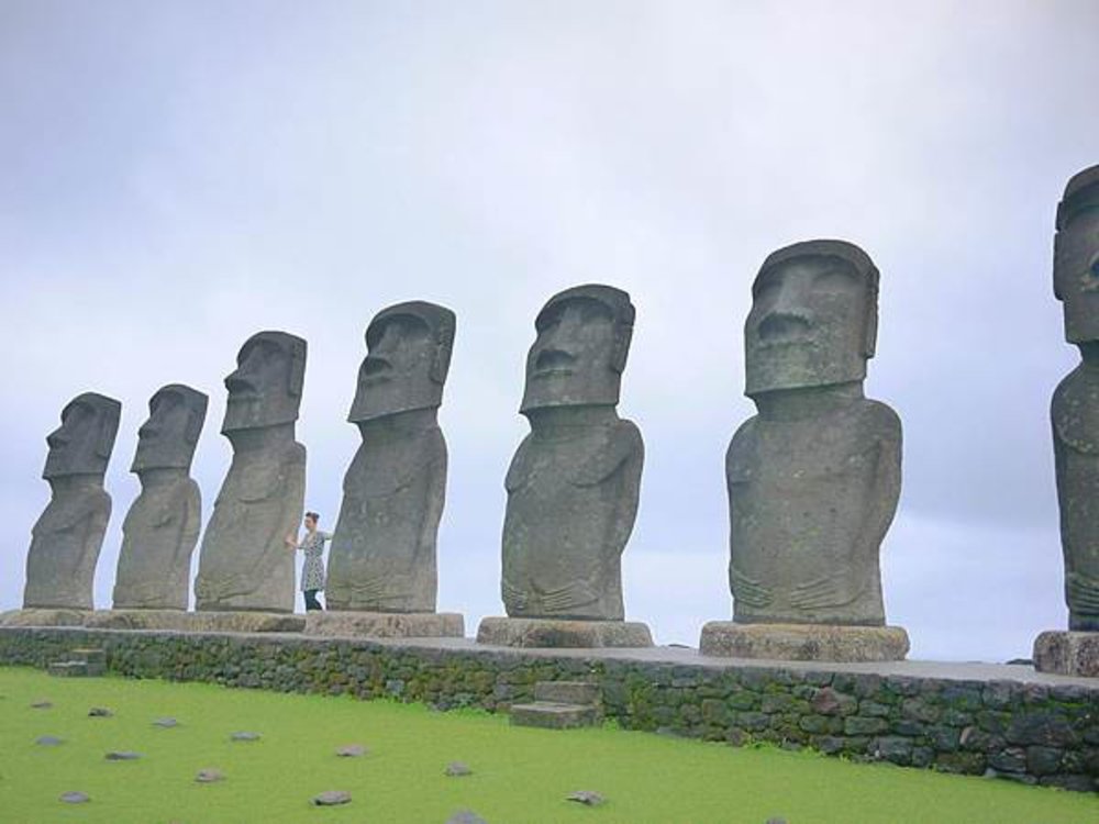 宮崎景點推薦 日南太陽花園