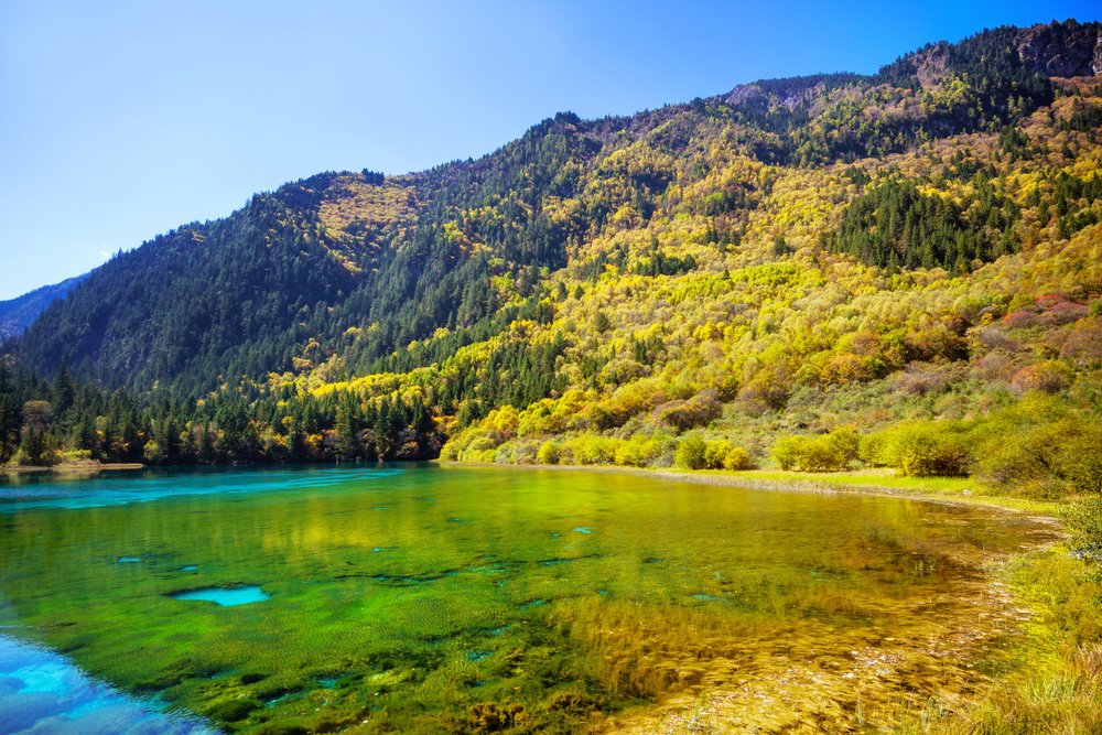 Tour 4 Ngày Tứ Xuyên - Thành Đô - Cửu Trại Câu