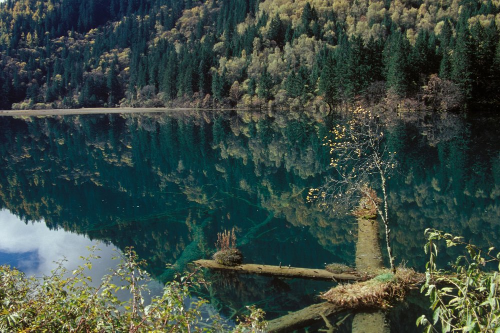 Tour Riêng 6 Ngày 5 Đêm Với Tầm Nhìn Toàn Cảnh Cửu Trại Câu Và Nga Mi Ở Tứ Xuyên