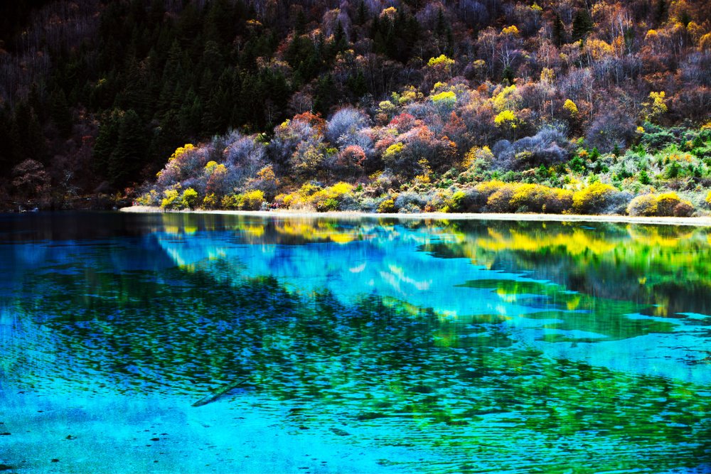 Du Lịch Bán Tự Túc 6 Ngày 5 Đêm Tại Tứ Xuyên - Thành Đô - Cửu Trại Câu