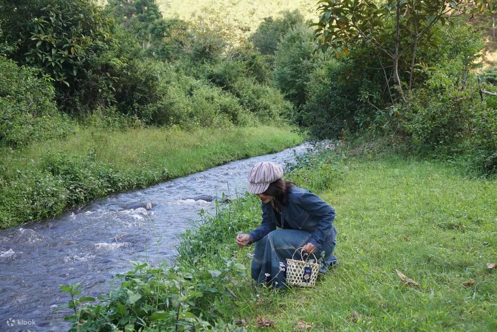 chi-phi-du-lich-da-lat